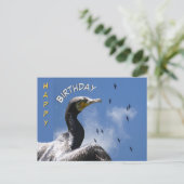 Postale Carte de voeux d'anniversaire aux cormorans volant (Debout devant)