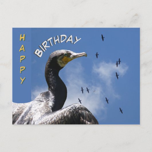 Postale Carte de voeux d'anniversaire aux cormorans volant (Devant)