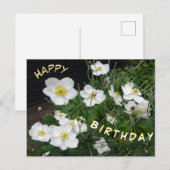 Postale Carte de vœux d'anniversaire avec des anémones jap (Devant / Derrière)