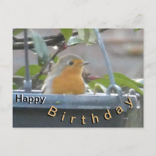 Postale Carte de vœux d'anniversaire avec un rouge-gorge d