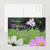 Postale Carte de voeux d'anniversaire Cosmea, champ de fle (Devant / Derrière)