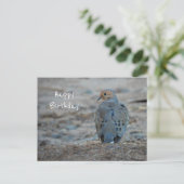 Postale Carte de vœux d'anniversaire de jolie Tourterelle  (Debout devant)