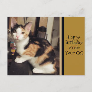 Postale Carte de vœux d'anniversaire de votre chat