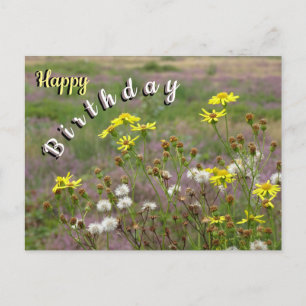 Postale Carte de vœux d'anniversaire Fleurs Jaunes et Blan