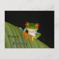 Carte de vœux d'anniversaire Grenouille bigleuse g
