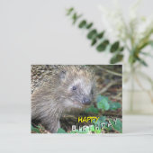 Postale Carte de vœux d'anniversaire Hérisson Mignon (Debout devant)
