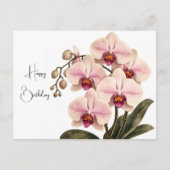 Postale carte de voeux d'anniversaire orchidée (Devant)