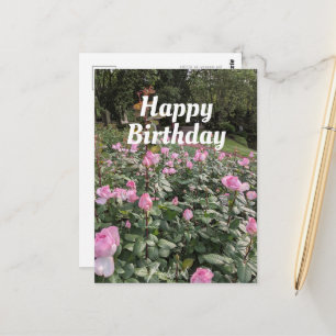 Postale Carte de vœux d'anniversaire pour le jardin de ros