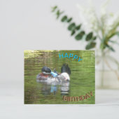 Postale Carte de vœux d'anniversaire Ringtaling Duck (Debout devant)