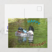 Postale Carte de vœux d'anniversaire Ringtaling Duck (Devant / Derrière)