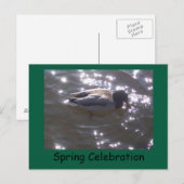 Postale Carte de vœux de célébration de printemps (Devant / Derrière)