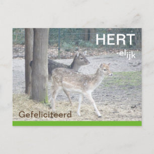 Postale Carte de voeux de félicitations de Damherten HERTe