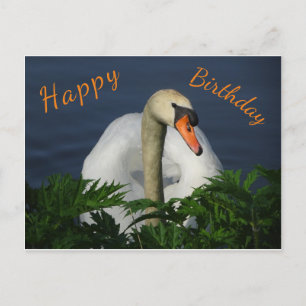 Postale Carte de voeux de joyeux anniversaire au beau cygn