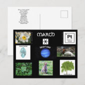 Postale Carte de voeux des symboles d'anniversaire de mars (Devant / Derrière)