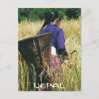 Postale Carte de voeux du Népal