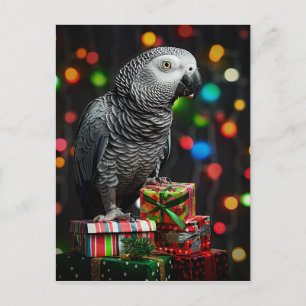 Postale Carte de vœux festive avec un gris d'Afrique sur d