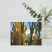 Postale Carte de voeux "Garden Sunset" (Debout devant)