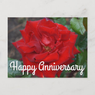 Postale Carte de vœux Joyeux Anniversaire Bouquet de roses