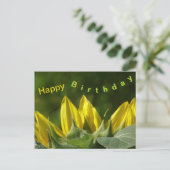Postale Carte de vœux Joyeux Anniversaire Tournesol (Debout devant)