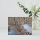 Postale Carte de voeux Just Kitty (Debout devant)