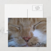 Postale Carte de voeux Just Kitty (Devant / Derrière)