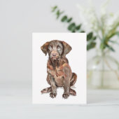 Postale Carte de vœux Labrador Retriever (Debout devant)