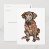 Postale Carte de vœux Labrador Retriever (Devant / Derrière)