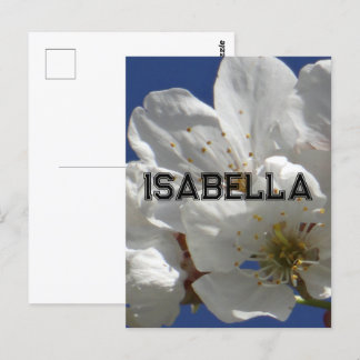 Postale Carte de voeux pliée aux fleurs blanches mignonnes