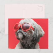 Postale Carte de vœux Shih Tzu (Devant / Derrière)