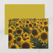 Postale Carte de voeux Sunflower (Devant / Derrière)