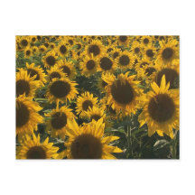 Carte de voeux Sunflower