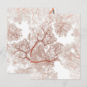 Postale Carte des arbres 2 (Devant / Derrière)