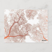 Postale Carte des arbres 2 (Dos)