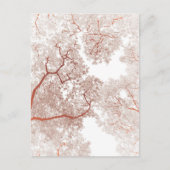 Postale Carte des arbres 2 (Devant)
