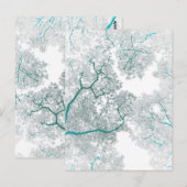 Postale Carte des arbres 3 (Devant / Derrière)