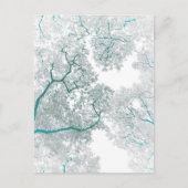 Postale Carte des arbres 3 (Devant)