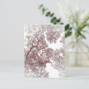 Postale Carte des arbres 4