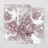 Postale Carte des arbres 4 (Devant / Derrière)