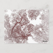 Postale Carte des arbres 4 (Dos)
