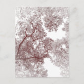Postale Carte des arbres 4 (Devant)