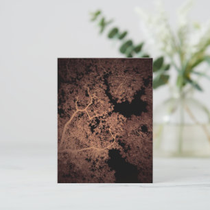Postale Carte des arbres 5