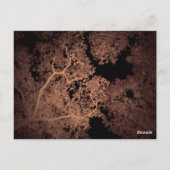Postale Carte des arbres 5 (Dos)