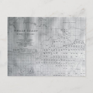 Postale Carte des baleines du Pacifique Nord, 1851
