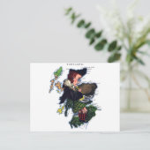 Postale Carte des caricatures écossaises (Debout devant)