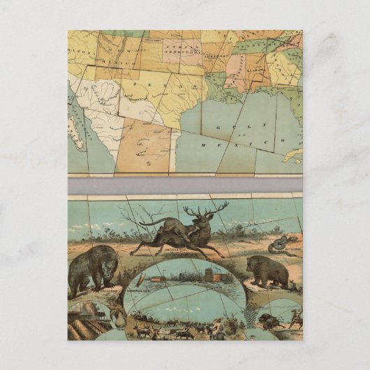 Postale Carte des Etats-Unis d'Amérique 2 (Devant)