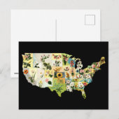 Postale Carte des fleurs des États-Unis (Devant / Derrière)
