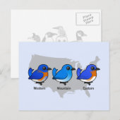 Postale Carte des oiseaux bleus (Devant / Derrière)