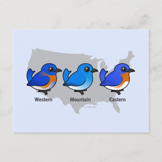 Postale Carte des oiseaux bleus (Devant)