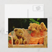 Postale Carte des petits ours (Devant / Derrière)