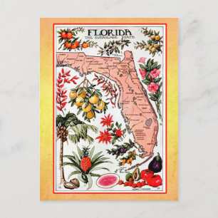 Postale Carte d'état de la Floride (réimpression vintage)